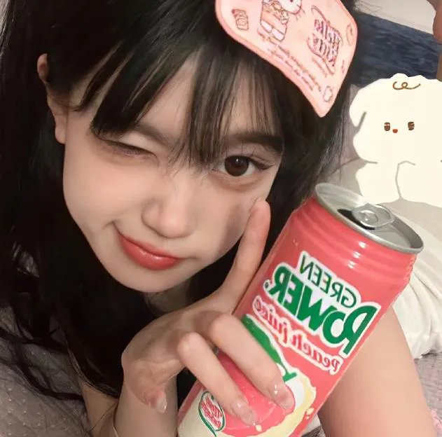 丫鬟不好惹